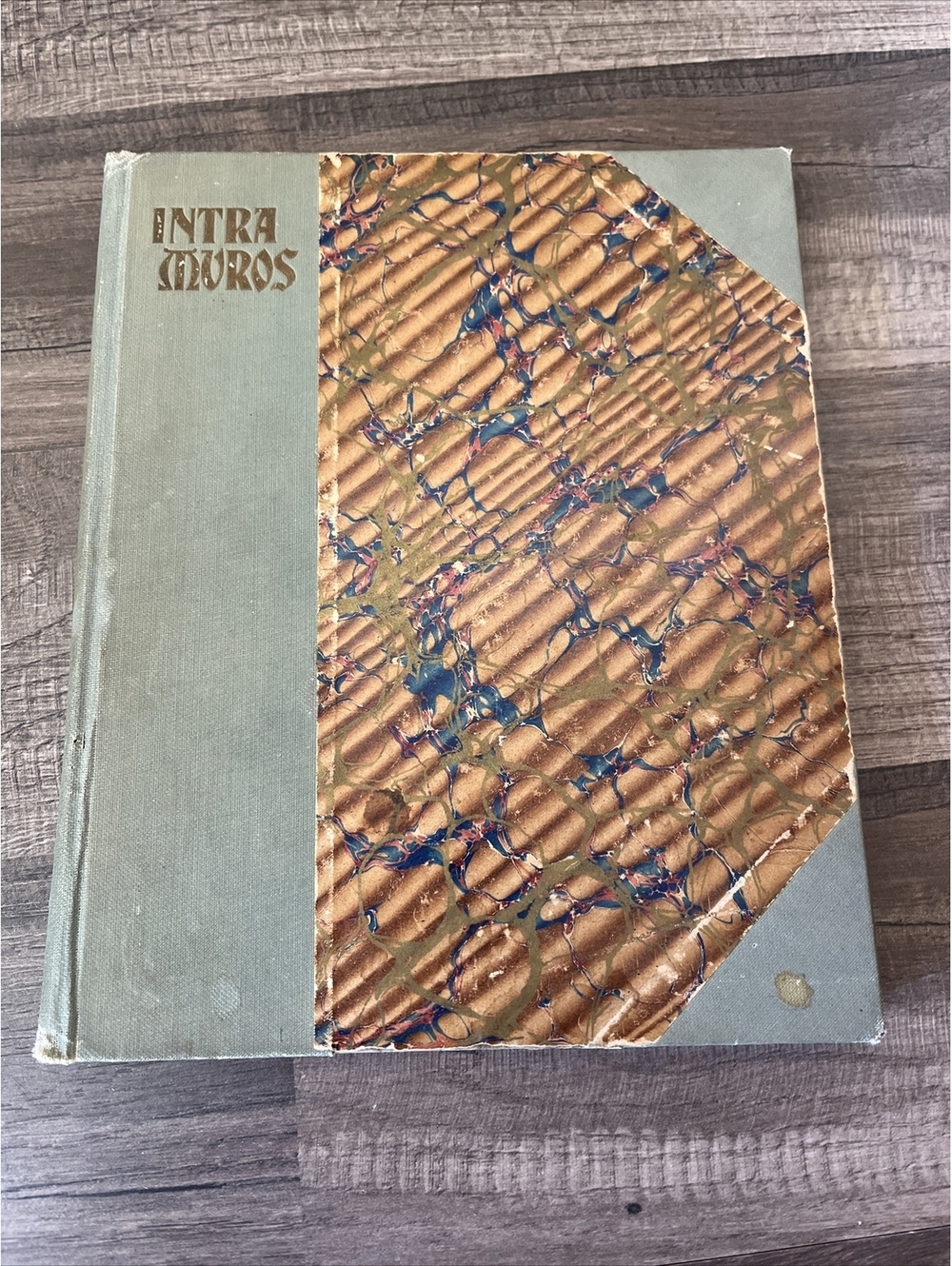Intra Muros by Rebecca Ruter Springer 1898 First Edition Rare Antique HC Book